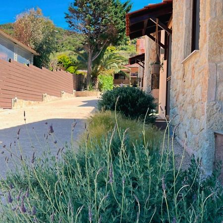 Palma Seaside Villa 1 萨尔蒂 外观 照片